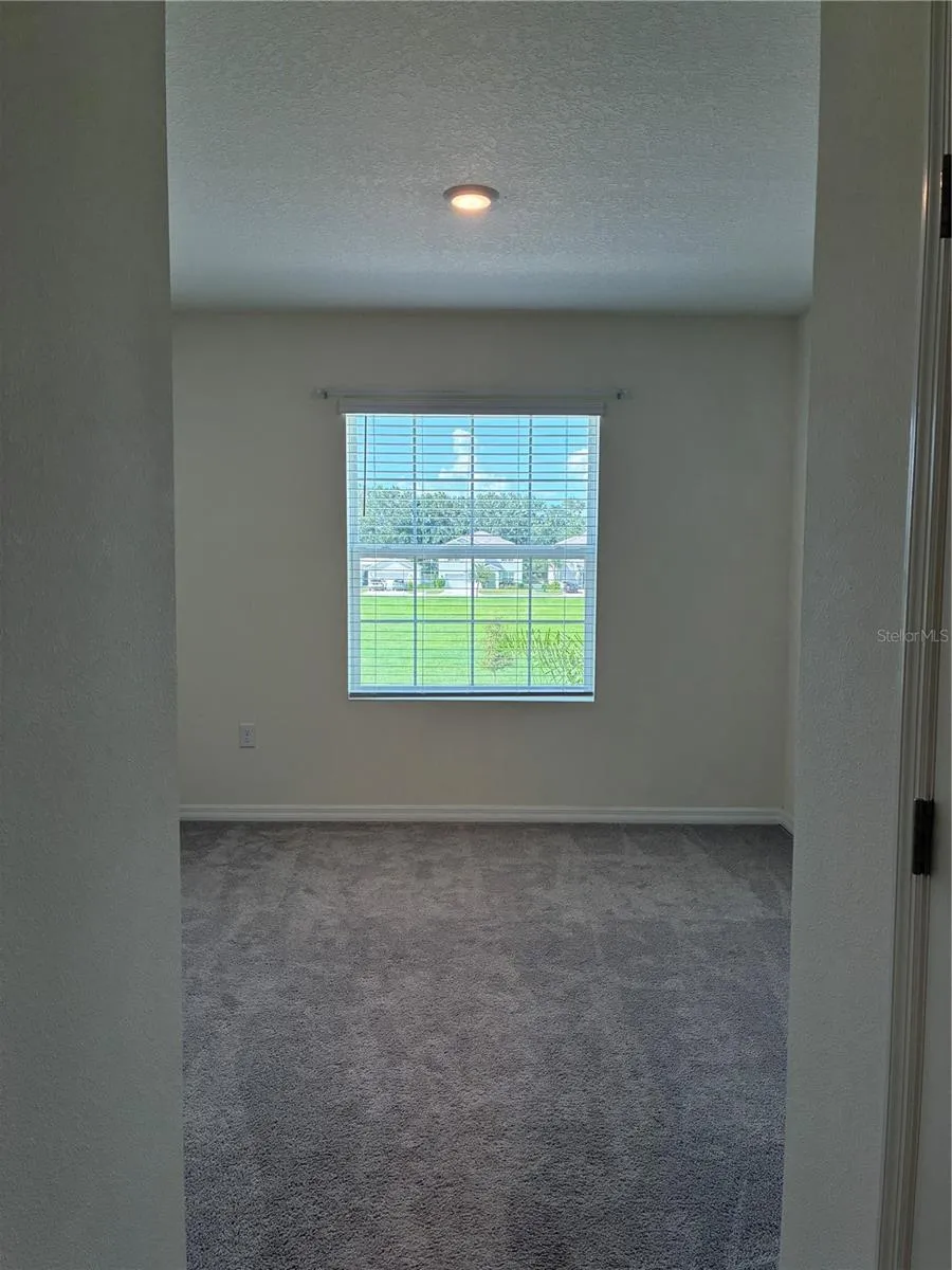 34218 REDWOOD DAWN LANE Wesley Chapel, FL 33543