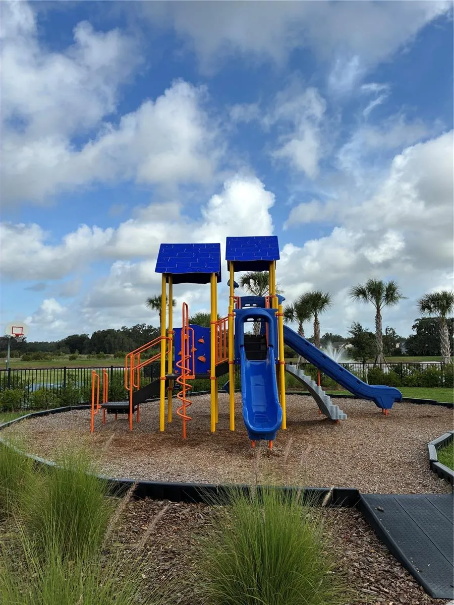 34218 REDWOOD DAWN LANE Wesley Chapel, FL 33543