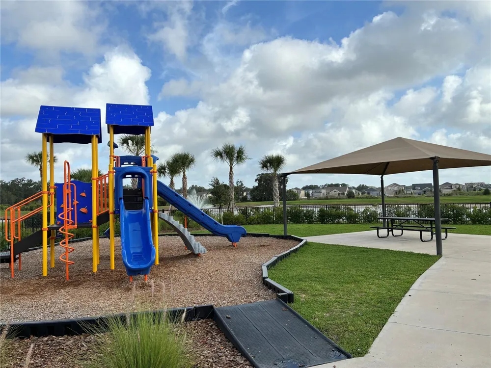 34218 REDWOOD DAWN LANE Wesley Chapel, FL 33543