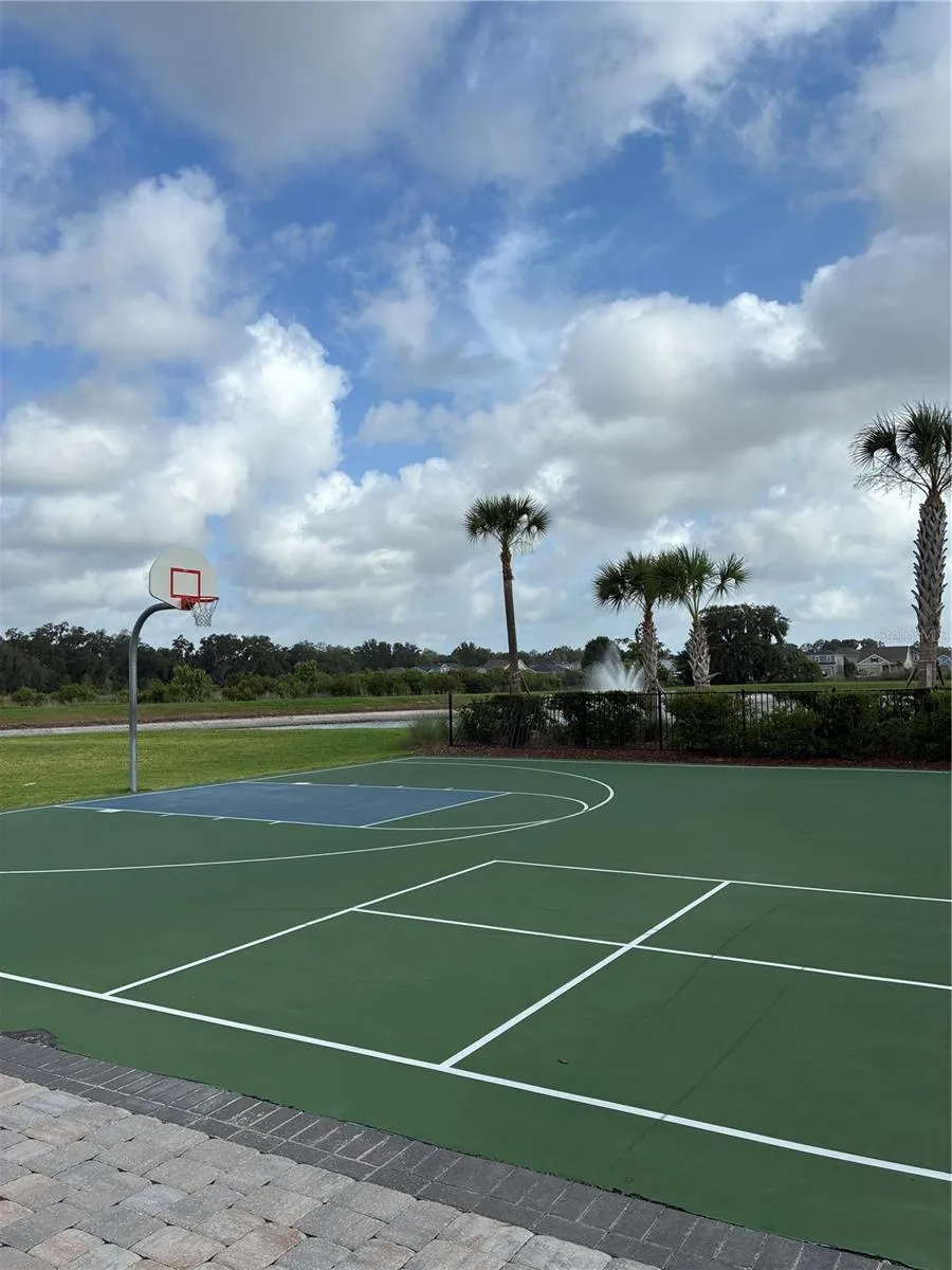34218 REDWOOD DAWN LANE Wesley Chapel, FL 33543