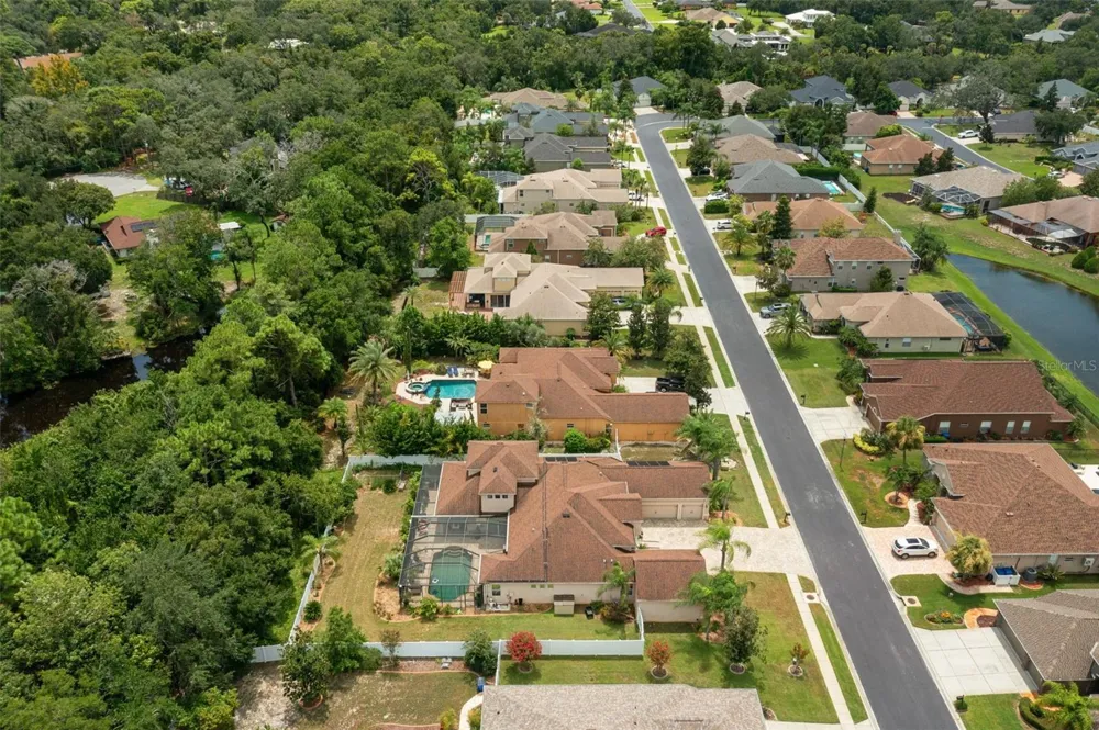 1726 NODDING THISTLE DRIVE New Port Richey, FL 34655