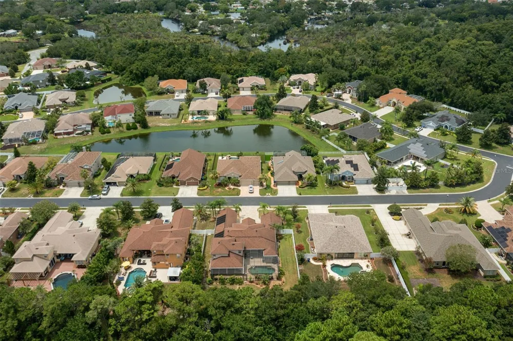 1726 NODDING THISTLE DRIVE New Port Richey, FL 34655