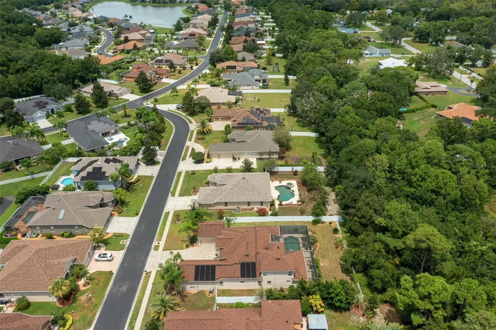 1726 NODDING THISTLE DRIVE New Port Richey, FL 34655