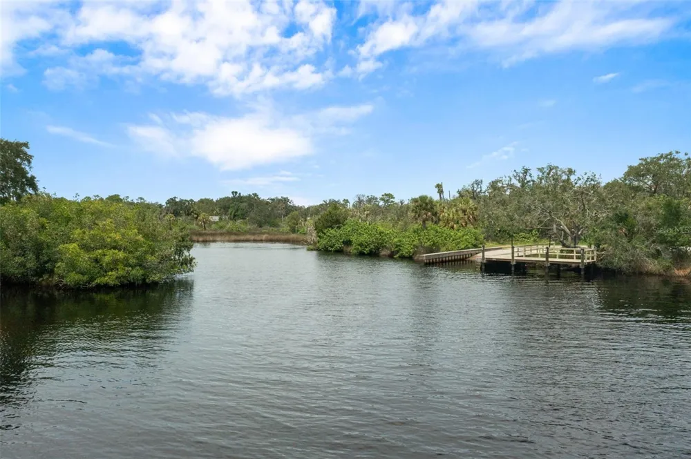 1726 NODDING THISTLE DRIVE New Port Richey, FL 34655