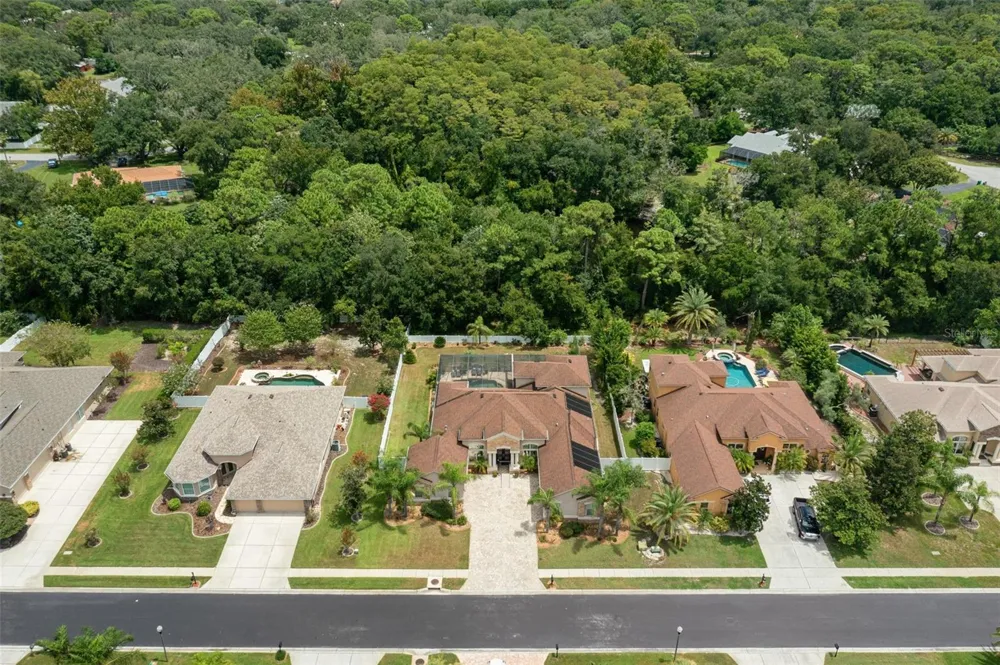 1726 NODDING THISTLE DRIVE New Port Richey, FL 34655