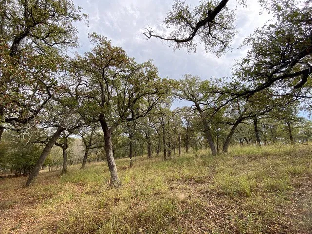 155 Phillips Runaway Bay, TX 76426