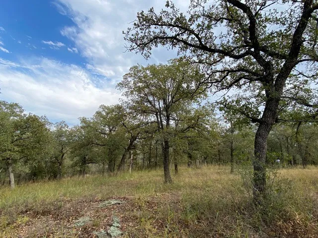 155 Phillips Runaway Bay, TX 76426