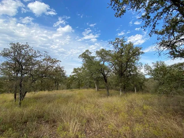 155 Phillips Runaway Bay, TX 76426