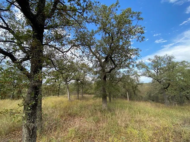 155 Phillips Runaway Bay, TX 76426