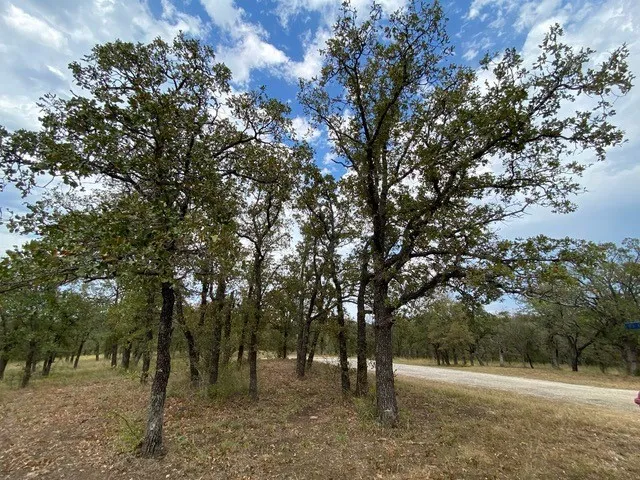 155 Phillips Runaway Bay, TX 76426