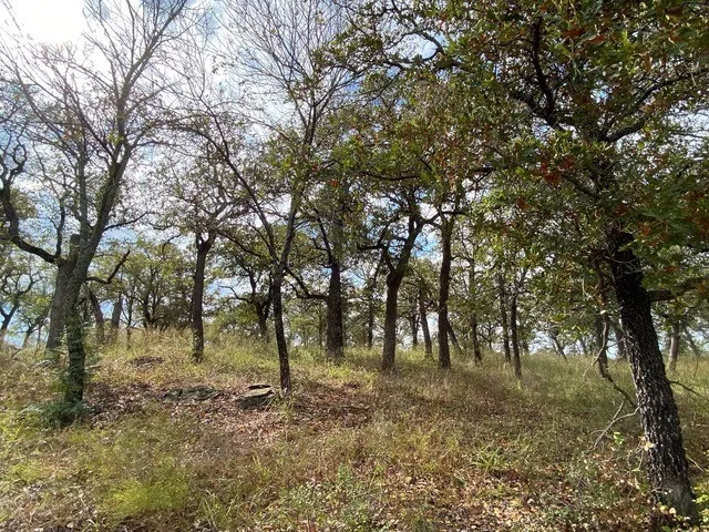 155 Phillips Runaway Bay, TX 76426