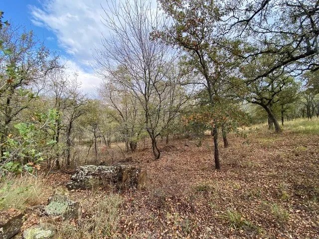 155 Phillips Runaway Bay, TX 76426