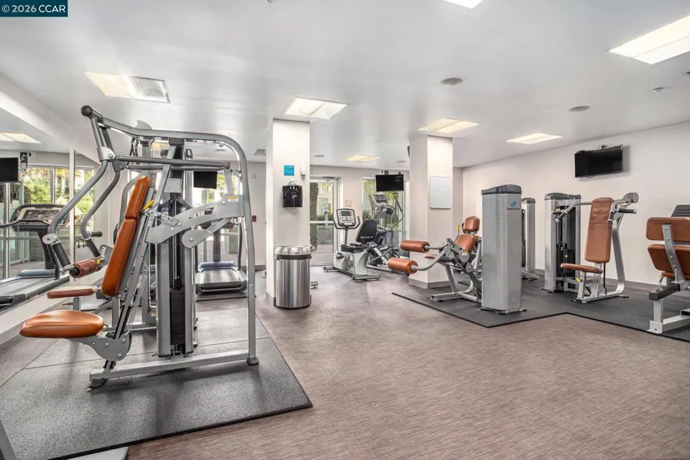 1655 California Blvd. #418 Walnut Creek, CA 94596