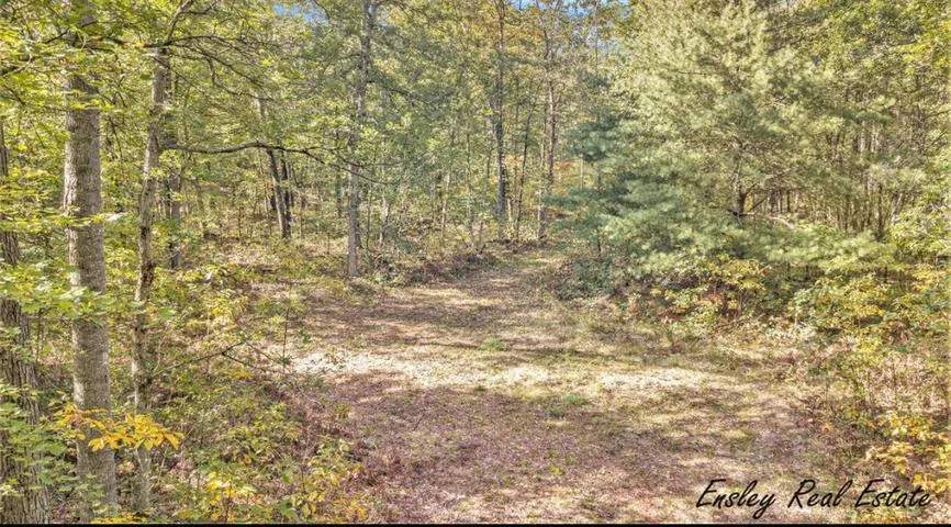 10381 Woodland Lane Newaygo, MI 49337