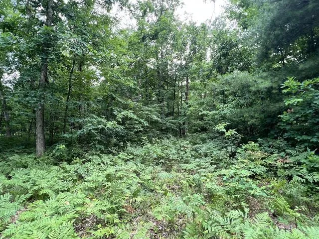 10381 Woodland Lane Newaygo, MI 49337