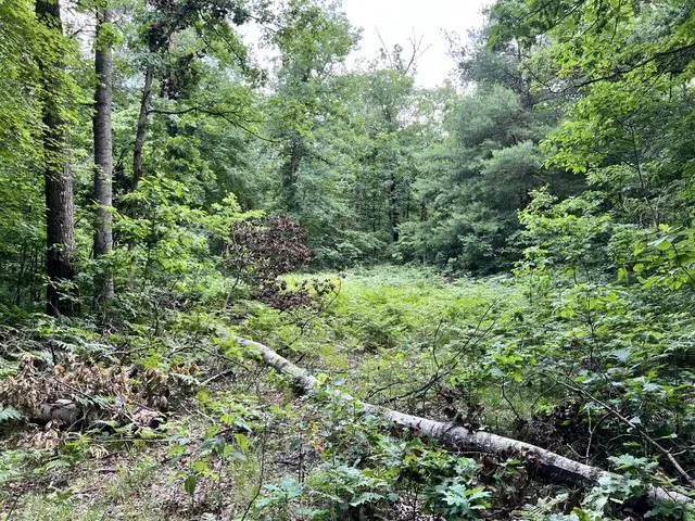 10381 Woodland Lane Newaygo, MI 49337