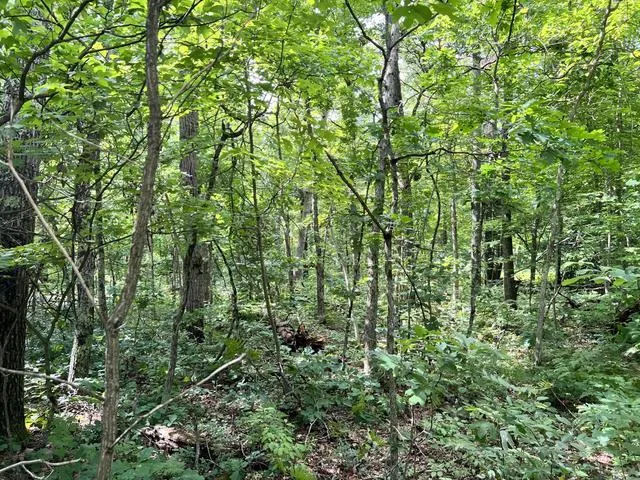 10381 Woodland Lane Newaygo, MI 49337