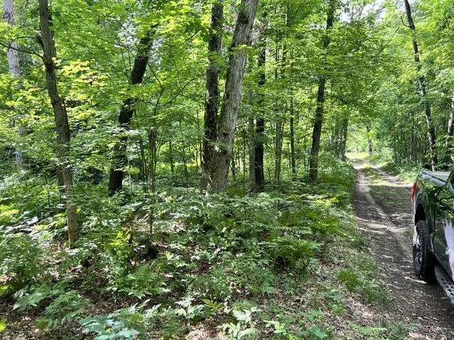 10381 Woodland Lane Newaygo, MI 49337