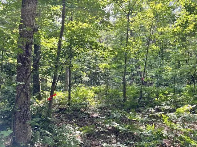 10381 Woodland Lane Newaygo, MI 49337