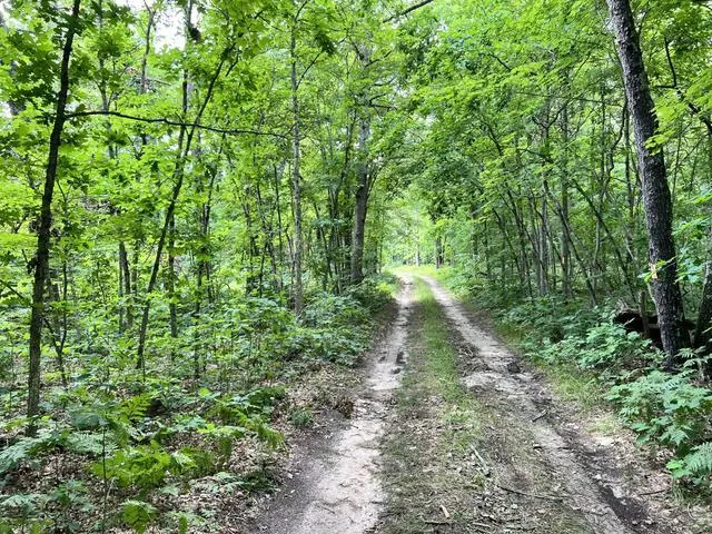 10381 Woodland Lane Newaygo, MI 49337