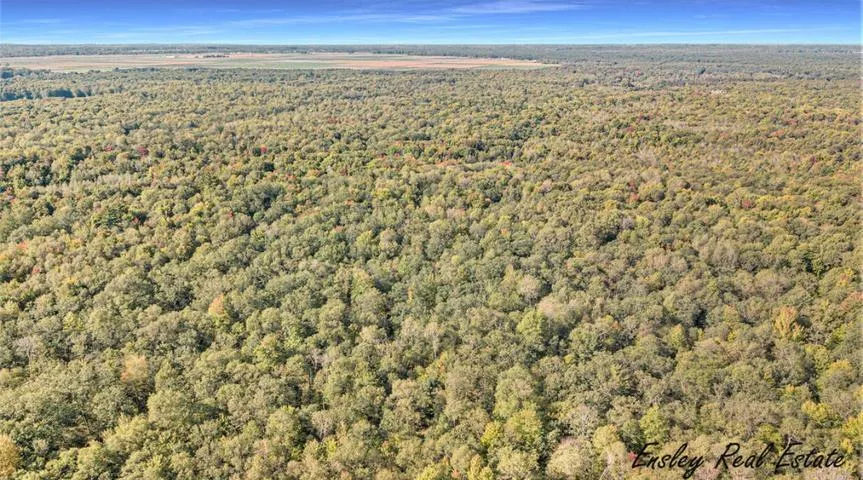 10381 Woodland Lane Newaygo, MI 49337