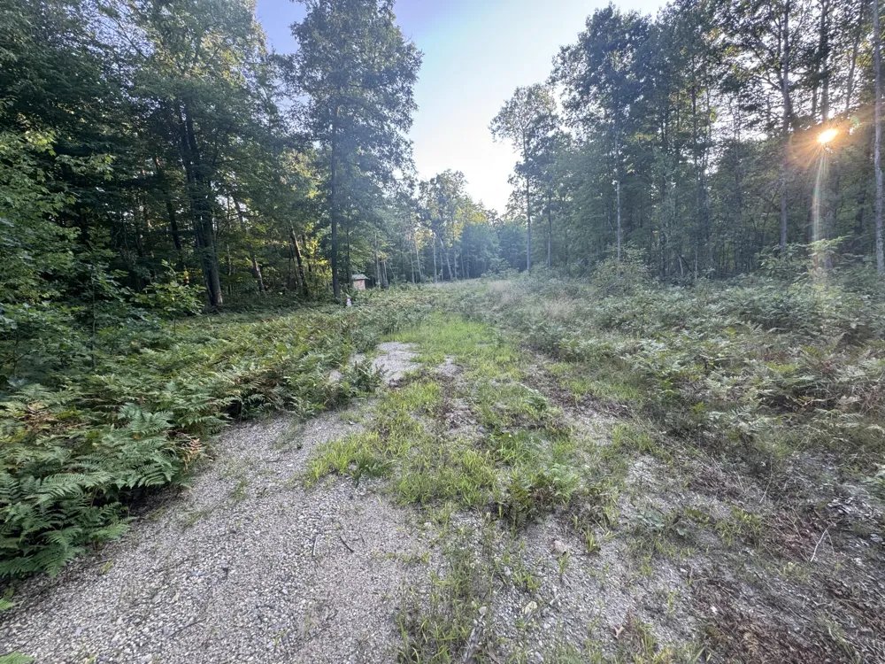 10381 Woodland Lane Newaygo, MI 49337