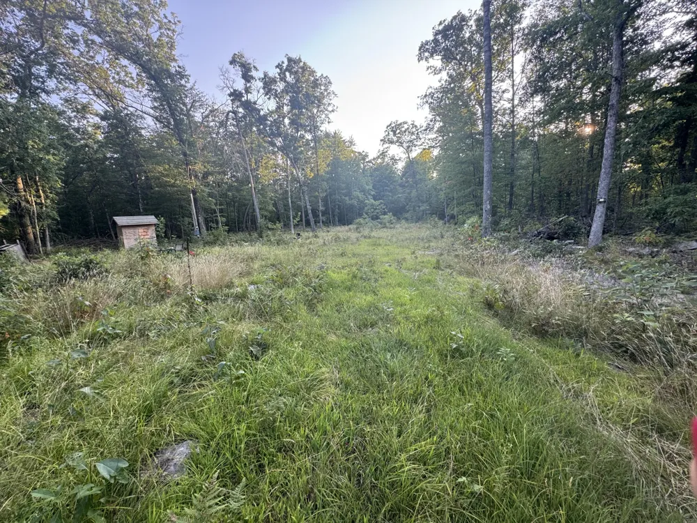 10381 Woodland Lane Newaygo, MI 49337