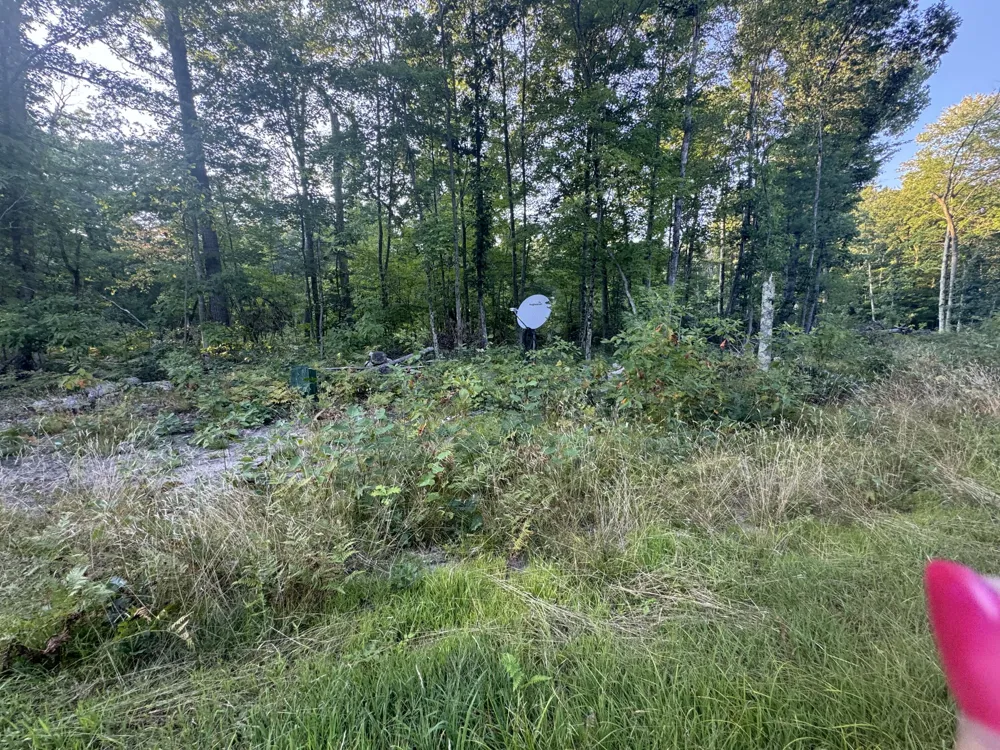 10381 Woodland Lane Newaygo, MI 49337