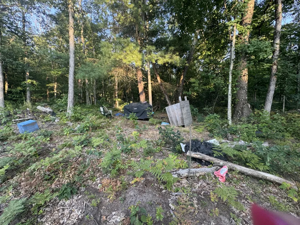 10381 Woodland Lane Newaygo, MI 49337