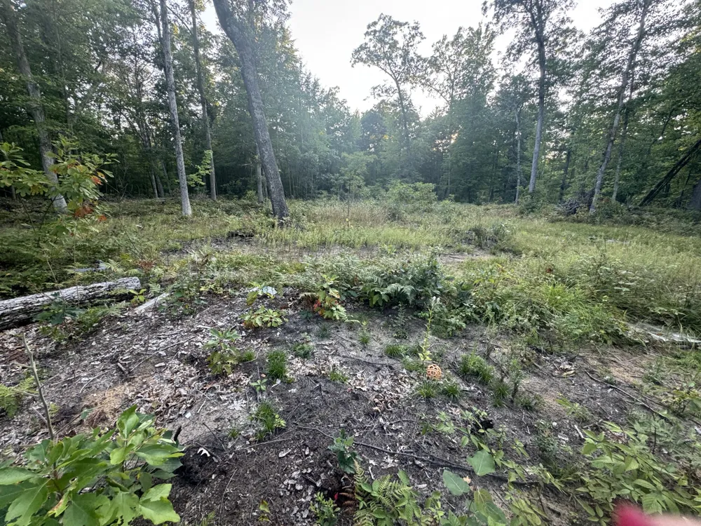 10381 Woodland Lane Newaygo, MI 49337