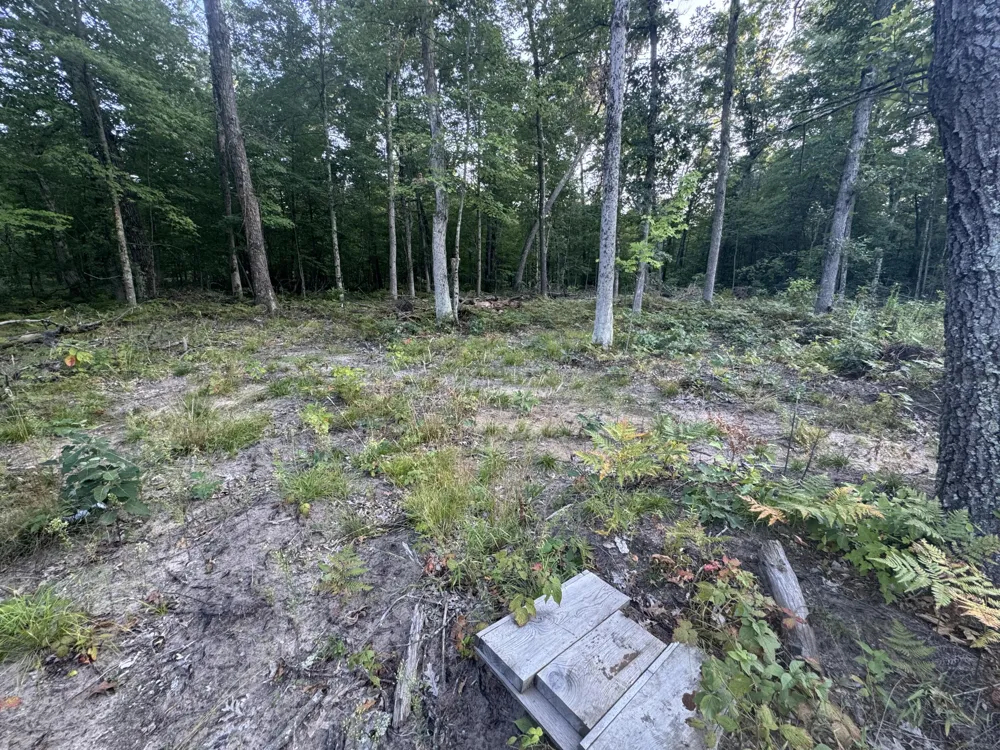 10381 Woodland Lane Newaygo, MI 49337