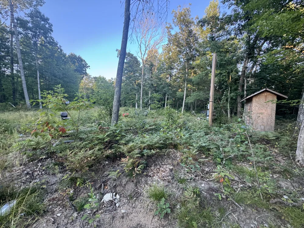 10381 Woodland Lane Newaygo, MI 49337