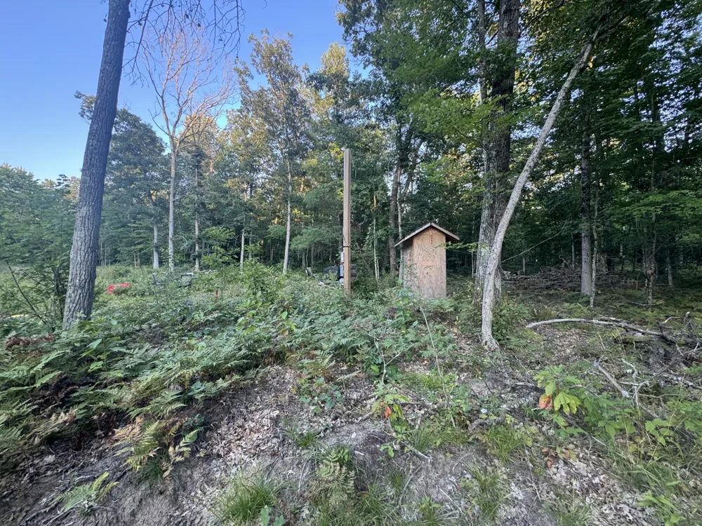 10381 Woodland Lane Newaygo, MI 49337