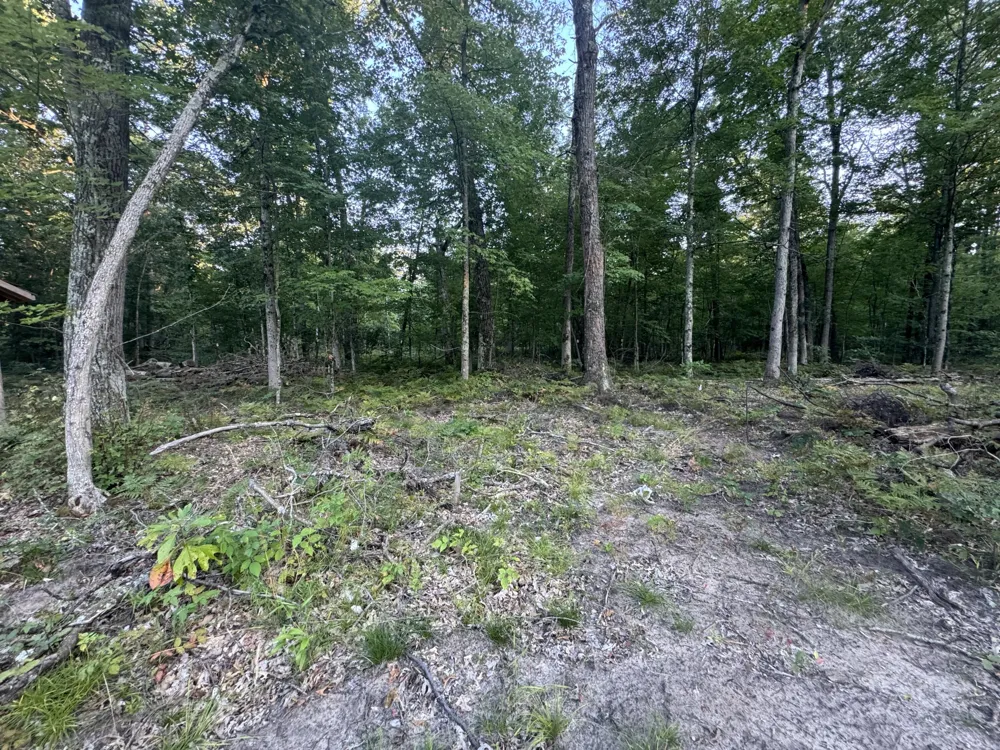 10381 Woodland Lane Newaygo, MI 49337