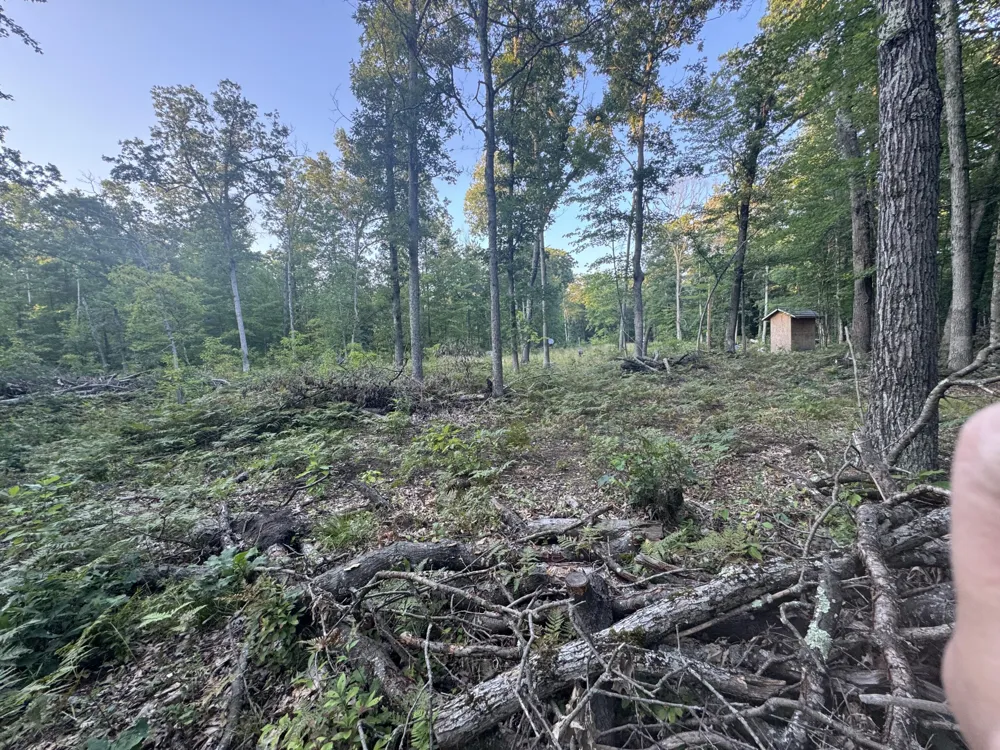 10381 Woodland Lane Newaygo, MI 49337
