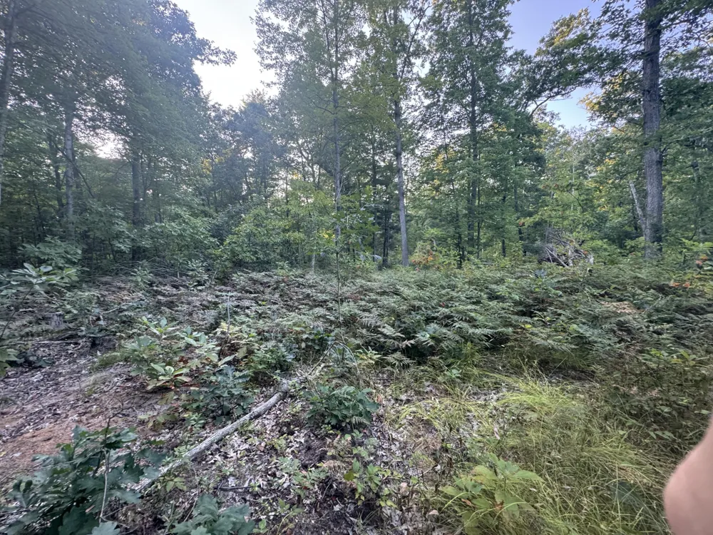 10381 Woodland Lane Newaygo, MI 49337