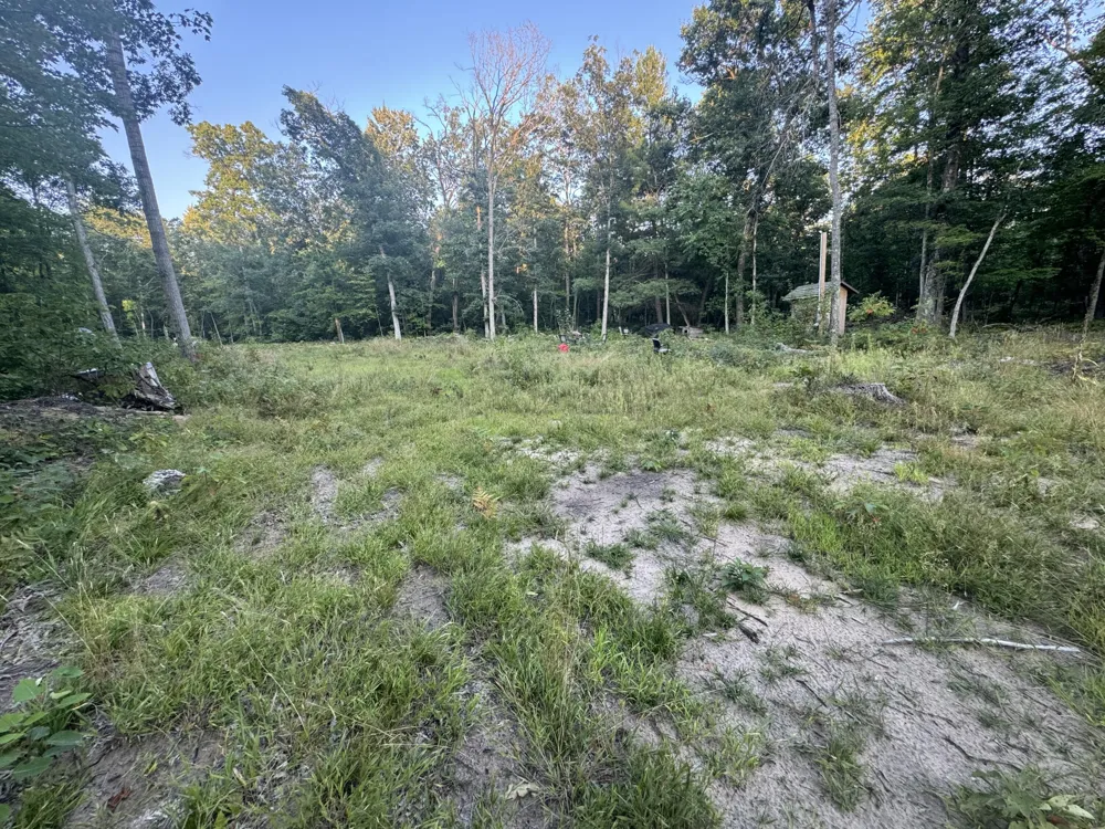 10381 Woodland Lane Newaygo, MI 49337