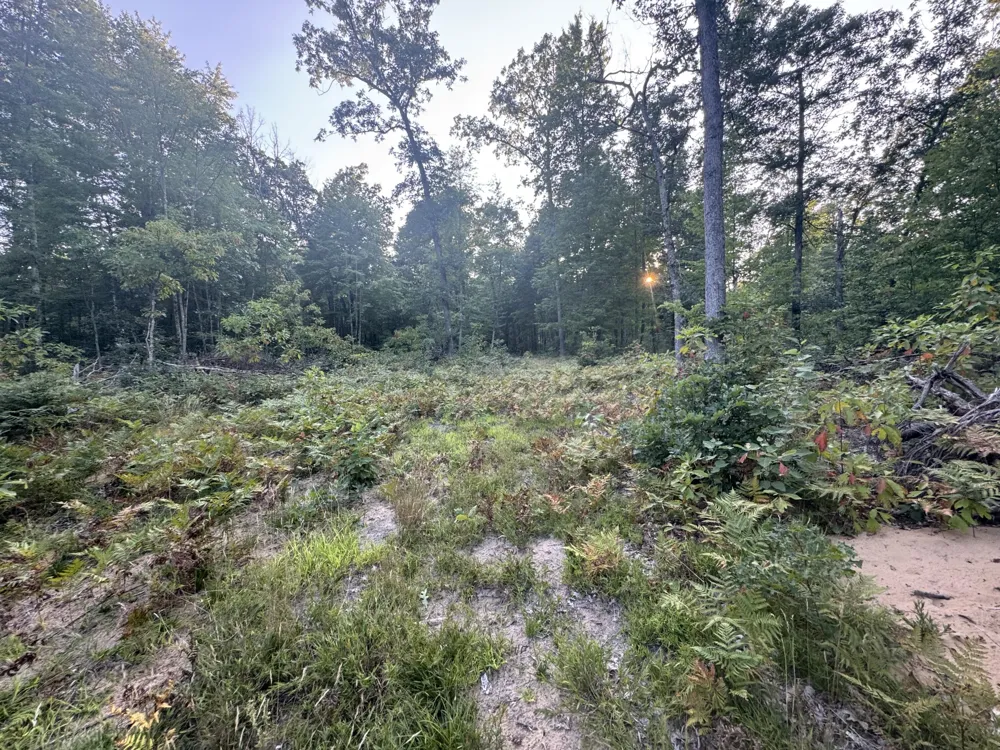 10381 Woodland Lane Newaygo, MI 49337