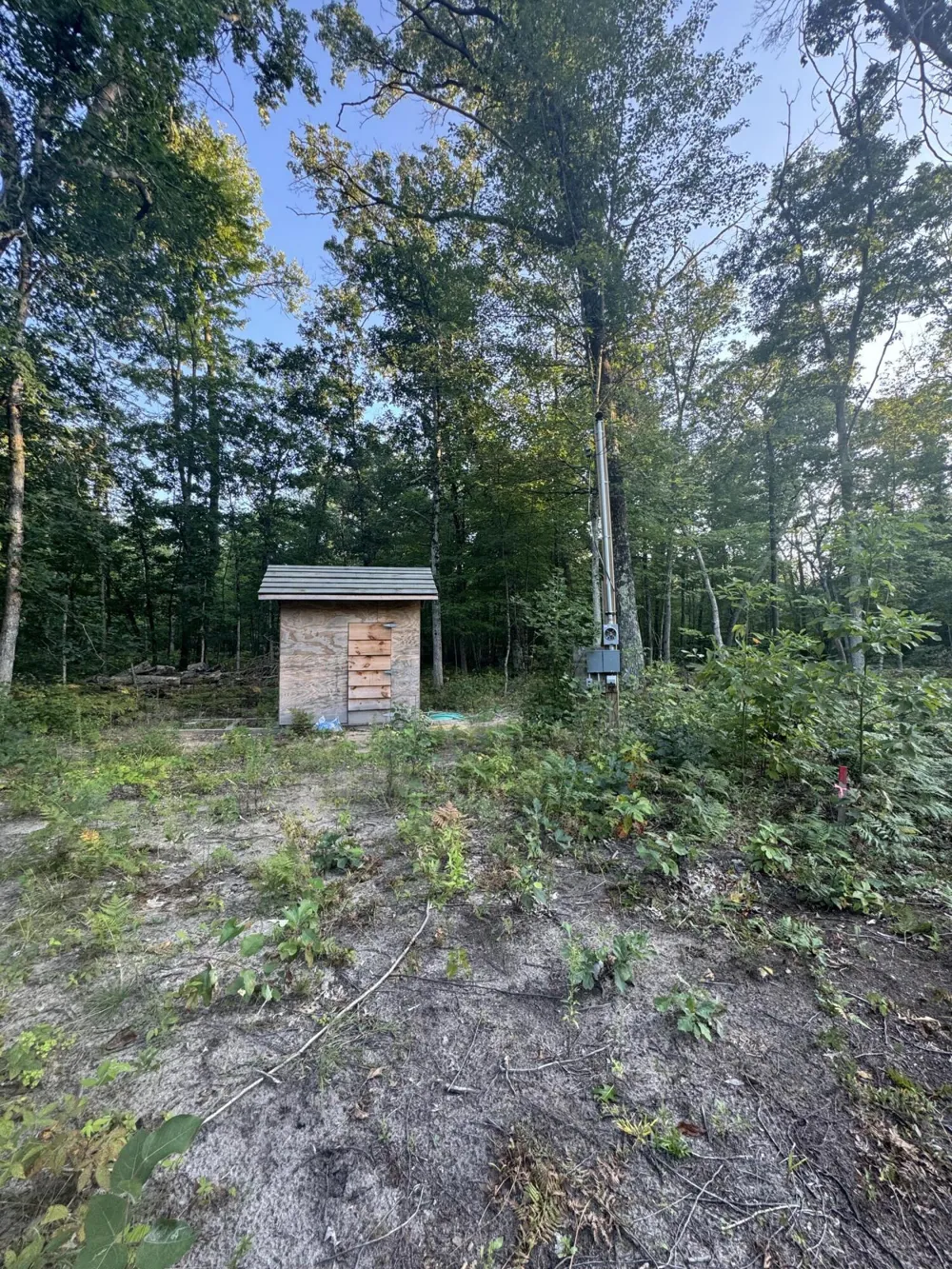 10381 Woodland Lane Newaygo, MI 49337