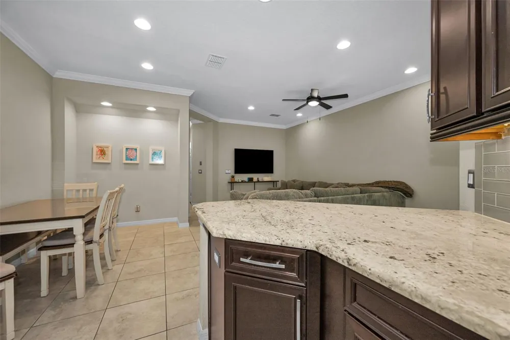 26399 LIMESTONE SPRINGS WAY Wesley Chapel, FL 33544