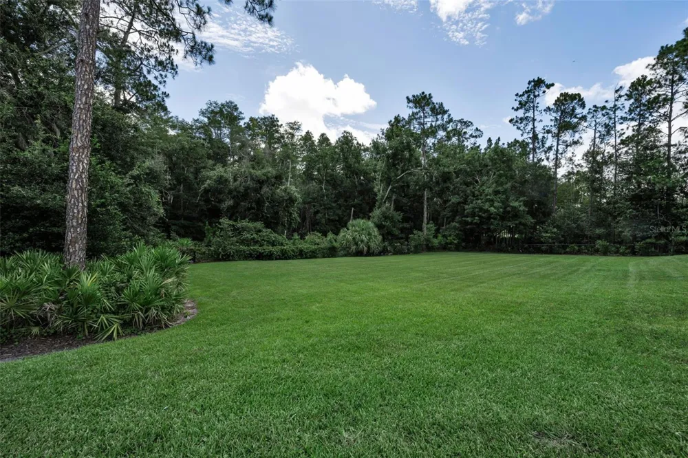 26399 LIMESTONE SPRINGS WAY Wesley Chapel, FL 33544