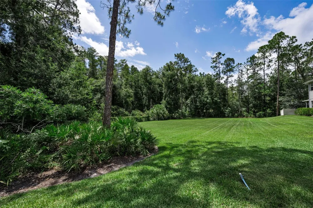26399 LIMESTONE SPRINGS WAY Wesley Chapel, FL 33544