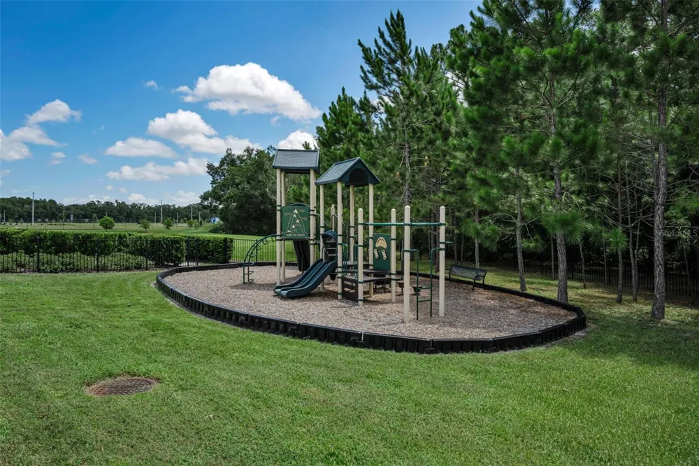 26399 LIMESTONE SPRINGS WAY Wesley Chapel, FL 33544