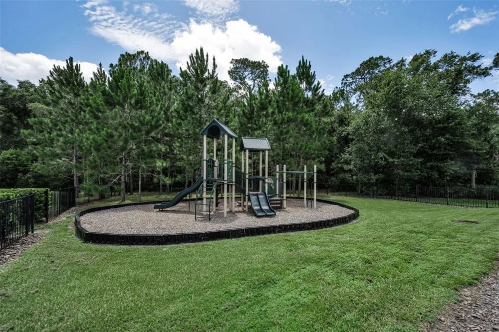 26399 LIMESTONE SPRINGS WAY Wesley Chapel, FL 33544