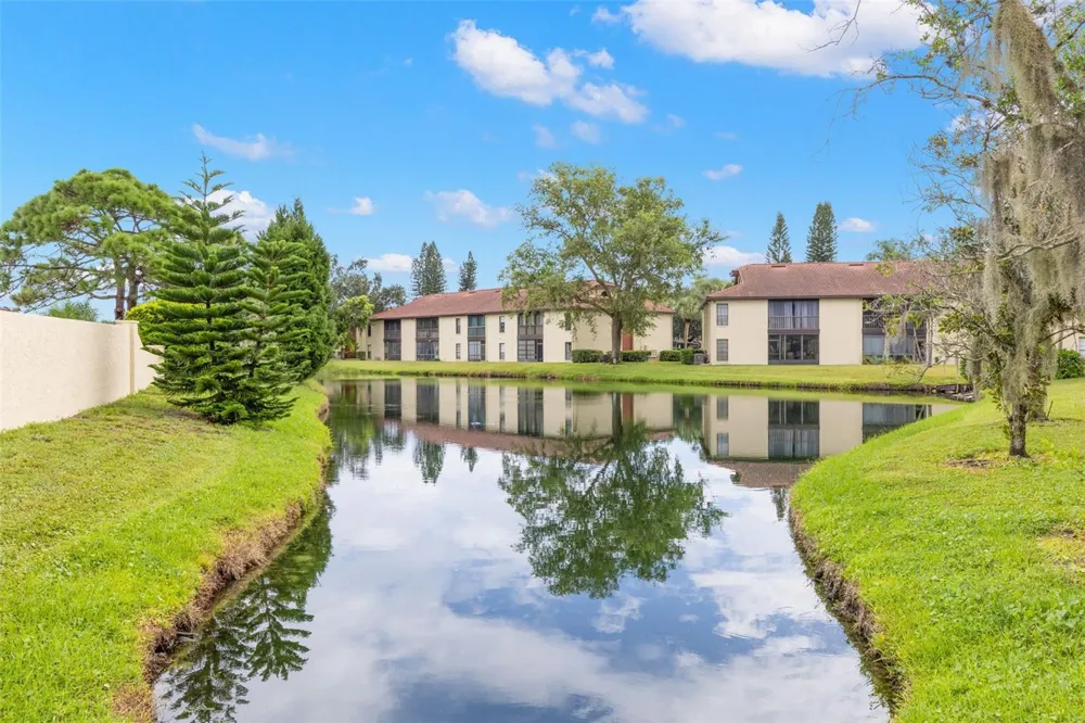1801 E LAKE ROAD #19D Palm Harbor, FL 34685