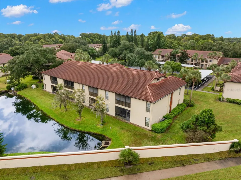 1801 E LAKE ROAD #19D Palm Harbor, FL 34685
