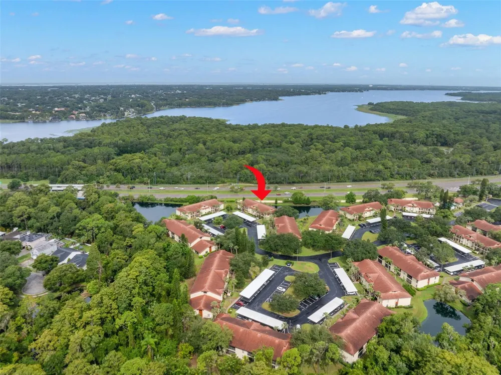 1801 E LAKE ROAD #19D Palm Harbor, FL 34685