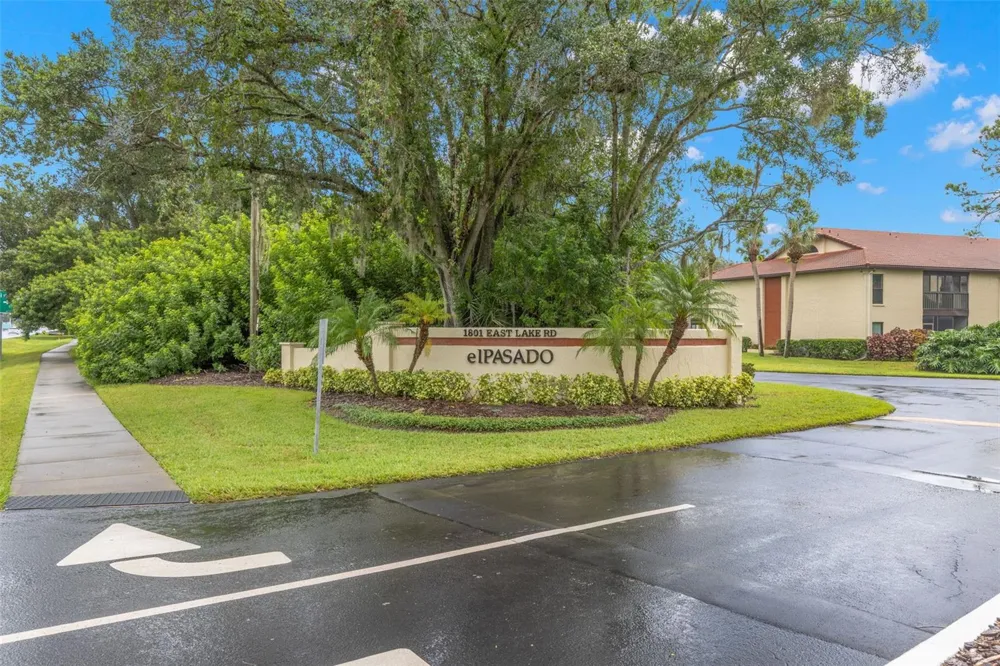 1801 E LAKE ROAD #19D Palm Harbor, FL 34685