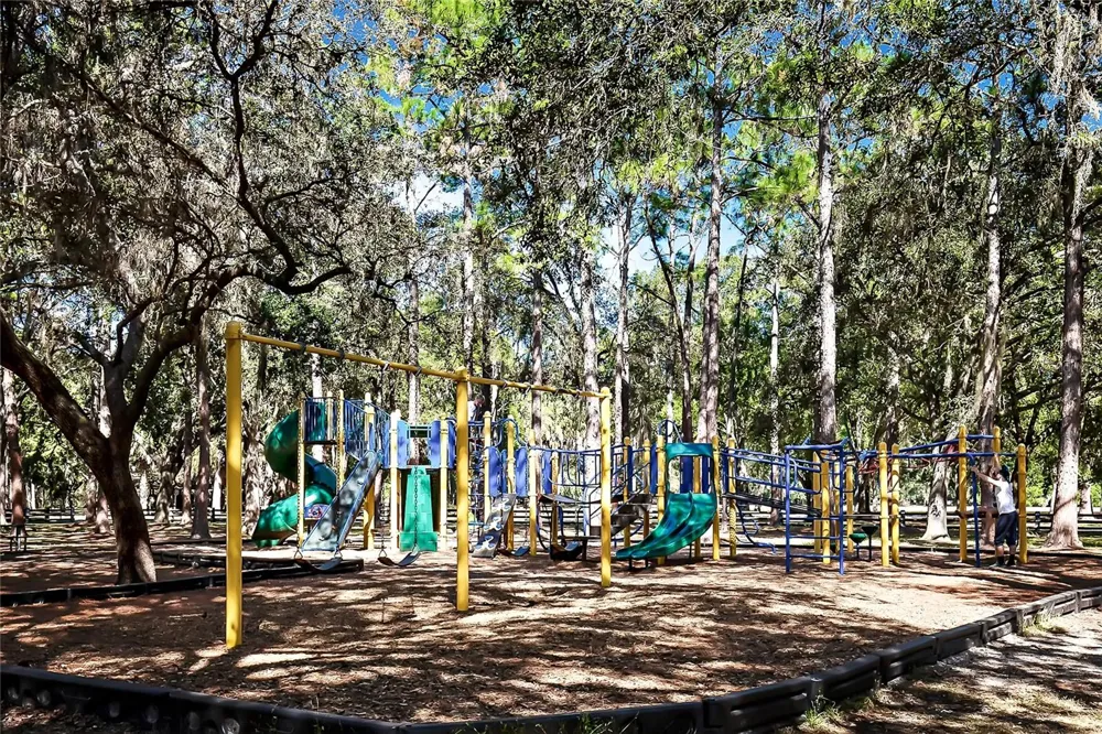 1801 E LAKE ROAD #19D Palm Harbor, FL 34685
