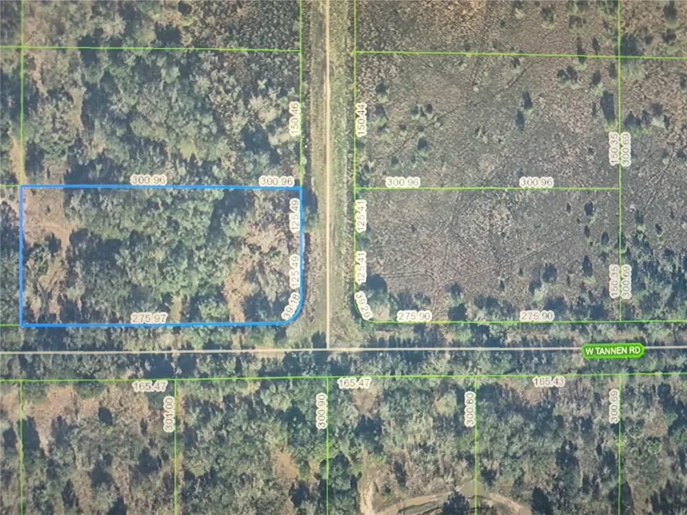 3300 W TANNEN ROAD Avon Park, FL 33825